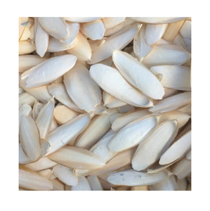 Os de seiche séché de haute qualité Os de seiche 100% naturel provenant du Vietnam - Product Image 3