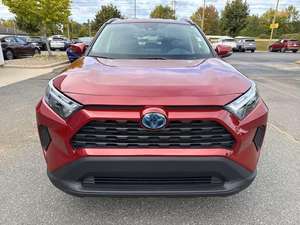 (TB) RAV4 HYBRID XLE 2024 USADO, SUV 4 Puertas con Tracción en las Cuatro Ruedas (2.5L 4 Cilindros Híbrido Gasolina/Eléctrico CVT), Auto Usado - Product Image 2