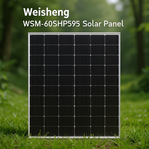 Panneau solaire Weisheng WSM-60SHP595 - Product Image 3