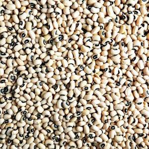 Haricots noirs séchés de haute qualité pour tous vos besoins en cuisine et préparation alimentaire, en vente - Product Image 5
