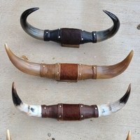 Corne de bœuf LONGHORN antique d'imitation, 3 pieds 5 pouces de large (UN SEUL exemplaire), corne de vache polie, art animalier - Vente chaude
