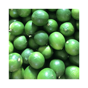 Cítricos Verdes Naturales Lima fresca para exhibiciones de comestibles y kits de comida, cultivados en Vietnam, al mejor precio, tamaño uniforme Premium - Product Image 3