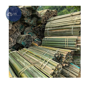 Postes de Bambú Ecológicos de Alta Calidad para Jardín, Soporte para Plantas, Bambú Azul Personalizable - Product Image 1