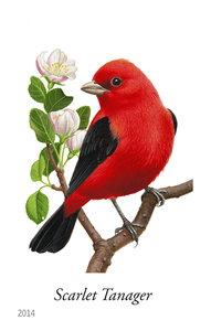 2014 Song Birds Retro Style Self-adhesive Glossy Finish Paper <b>Stickers</b> <b>for</b> <b>Scrapbooking</b> Journaling Album Decoration Valentine's - Product Image 2
