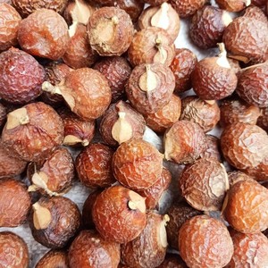 Fourniture en gros de noix de savon séchées de meilleure qualité de graines de noix de savon sec soapberry biologique à vendre au prix le moins cher - Product Image 5