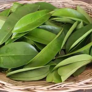 ใบทุเรียนเทศแห้ง: ส่วนประกอบที่มีกลิ่นหอมตามธรรมชาติสำหรับสูตรเฉพาะ - Product Image 5