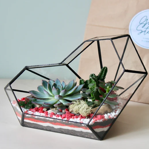 Terrario de cristal transparente para colgar, diseño abierto, que contiene dos pequeñas plantas de aire y grava decorativa a precio de fábrica mayorista - Product Image 4