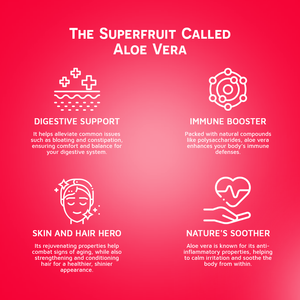 เครื่องดื่มว่านหางจระเข้พร้อมดื่มน้ำแตงโม16.9ขวด vinut floz (แพ็ค12) ฟรีตัวอย่างพร้อมดื่มทั่วโลก - Product Image 4