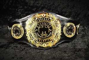 Ceintures de championnat personnalisées Trophées Médailles et récompenses le symbole ultime de la victoire et de l'excellence Ceintures de championnat - Product Image 2