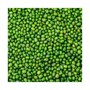Vigna Mung Beans venta al por mayor precio barato suministro a granel Grado de exportación - Product Image 6