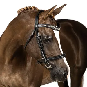 Brida de cuero de alta calidad para caballo con correas laterales - Tamaño y logotipo personalizables, precio competitivo, exportación a granel - Product Image 1