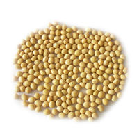 Haricots de soja séchés, graines de soja, protéine végétale, aliment sain, 100% naturel, non-OGM, sucré, torréfié, jaune, 50 kg, prix de gros