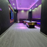 Cabine mobile KTV Apple équipée d'un ensemble complet d'équipements audio et vidéo adaptés à l'espace privé ou aux réunions de famille
