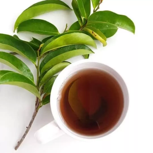 Hojas de Guanábana secas: ¡El secreto de la naturaleza!/100% orgánico - Product Image 5