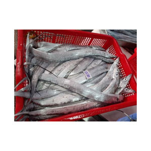 Poisson ruban frais congelé entier, prix du marché, durée de conservation de 2 ans - Product Image 1