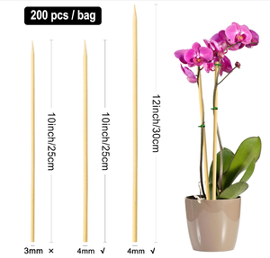 Brochettes en bambou pour barbecue, grillades et repas de fête, bâtonnets en bois écologiques - Product Image 6