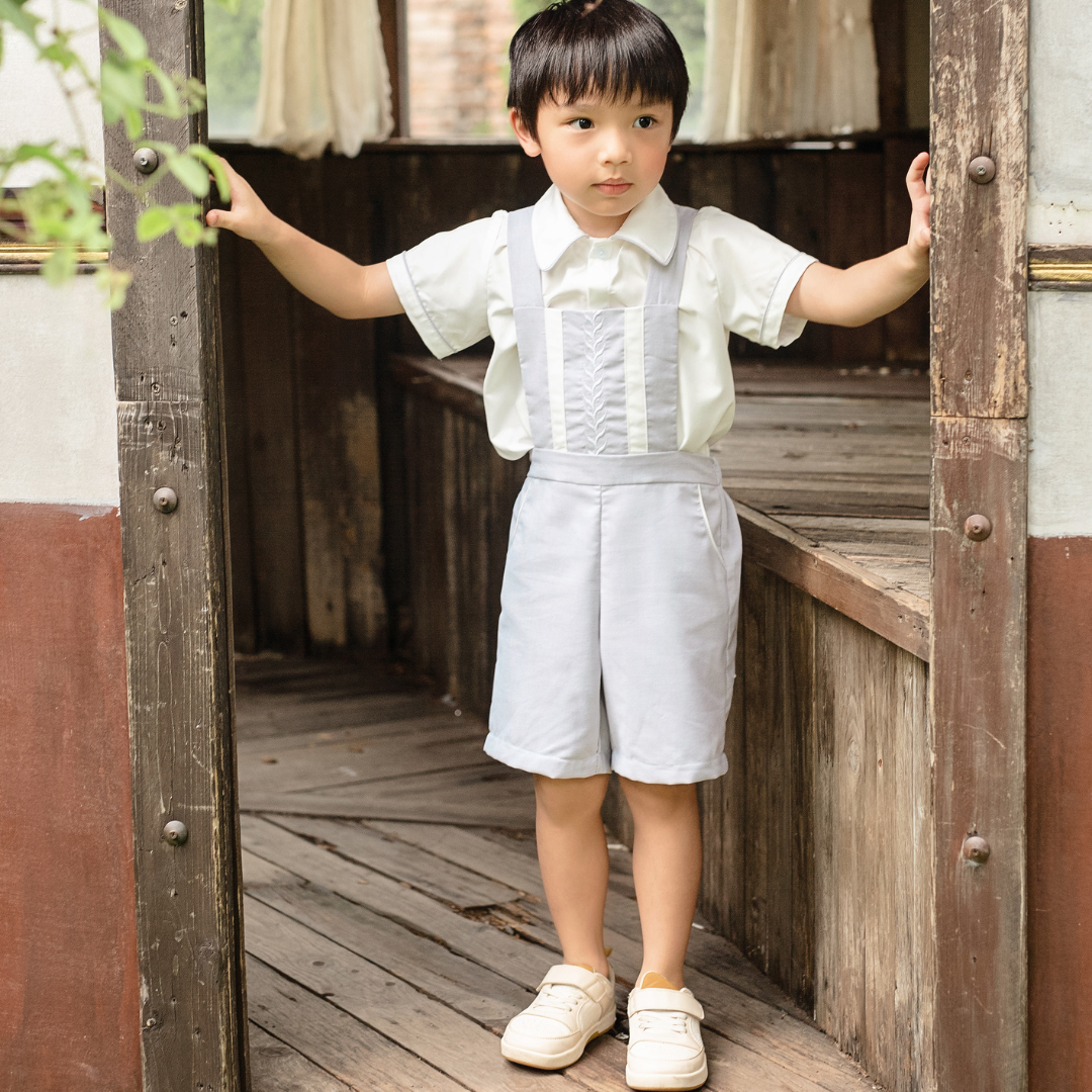 สีเทาและสีขาว