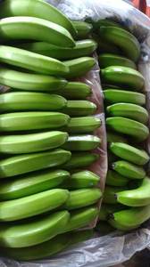 Calidad premium-Plátano verde a la venta-Plátanos frescos naturales Cultivo más nuevo-exportación de frutas frescas en todo el mundo - Product Image 3