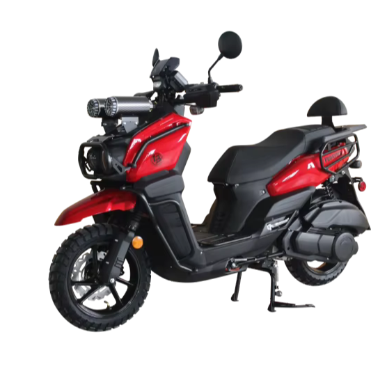 A Scooter Looks Scooter for Adults Seniors 1000W