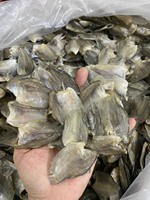 Poisson gourami en peau de serpent séché à prix compétitif