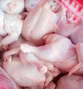 POLLO ENTERO CONGELADO HALAL DE PRIMERA CALIDAD - ENVASADO AL VACÍO, NUTRITIVO Y BAJO EN GRASAS, MEJOR PRECIO - Product Image 2