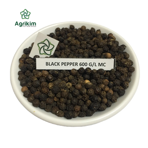 Pimienta Negra 500 550 570 580 G/L 5mm Alta Calidad Mejor Precio de Agrikim Binh Phuoc 2 Años de Vida Útil +84399521266 Sra. Mia - Product Image 1