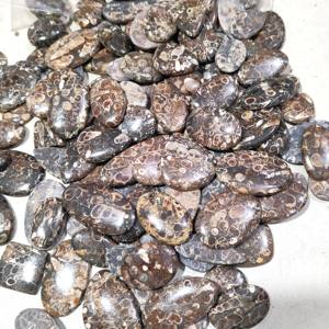 Piedra preciosa de ágata Turritella de la mejor calidad, cabujón de ágata Turritella Natural hecho a mano, uso de ágata Turritella pulida para joyería - Product Image 3