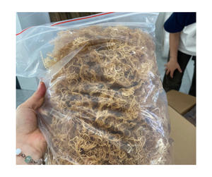 ผ้าฝ้ายมอสจากทะเลพรีเมี่ยมออร์แกนิคทำจากธรรมชาติธรรมชาติทำจากวัตถุดิบบริสุทธิ์ปราศจากกลูเตนปราศจากจีเอ็มโอขายส่งจากเวียดนาม Expo - Product Image 6