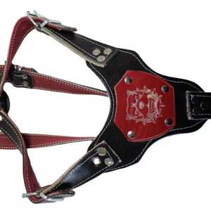 Collier de corps Newcdog harnais en cuir Colliers de chien Accessoires pour chiens Laisse de chien du fabricant - Product Image 1