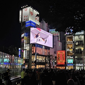 Quảng cáo ngoài trời HD Lớn mắt thường 3D LED biển quảng cáo Màn hình hiển thị cửa hàng lớn Mall tùy chỉnh <span class=keywords><strong>video</strong></span> tường Đăng mô-đun tủ - Product Image 6