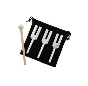 Ensemble d'instruments chirurgicaux manuels en acier inoxydable de classe I Diapason ange Source d'alimentation de guérison-4096/4160/4225Hz Dentric - Product Image 2