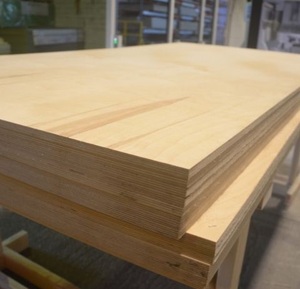 แผงไม้อัดกันน้ำเกรด E2ป็อปปูล่าสำหรับตกแต่งภายในใช้ในคลังสินค้าและโรงแรม - Product Image 3