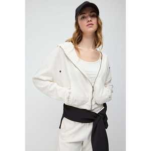 T-shirt pour femme 100% coton à manches longues, col rond, coupe classique - Product Image 6