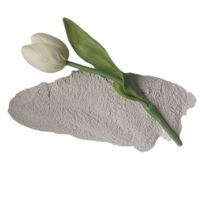 Concentré de Kyanite Premium et Poudre Calcinée 48-58% Al2O3 Matériau Réfractaire pour Meubles de Four et Réfractaires en Mullite