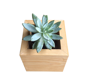 Natural <b>Wood</b> <b>Planter</b> Pot Top Attractive Design Tableware Garden Customized Size <b>Wood</b> <b>Planter</b> Pot - Product Image 3