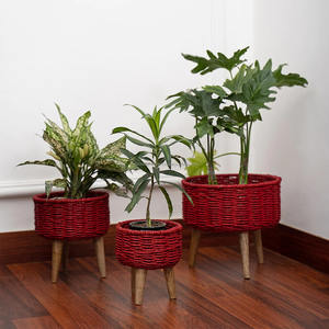 Juego de 3 plantas de punto de mimbre para uso interior y exterior, vajilla decorativa y plantador de suelo - Product Image 2