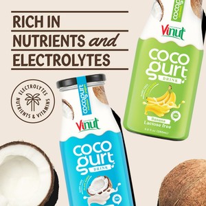 Yaourt à la noix de coco avec mangue 280ml boisson au yaourt VINUT 24 bouteilles par carton bouteille PET sans sucre OEM ODM marque privée Vietnam - Product Image 3
