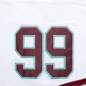 Jersey de Hockey sobre Hielo de Malla de Poliéster Sublimado, Personalizado, Unisex, Anti-UV, de Secado Rápido y Transpirable, Venta al Por Mayor OEM - Product Image 6