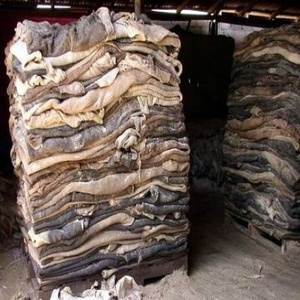 Peaux de vache salées humides et têtes de vache de la meilleure qualité |   Cuir véritable fendu (anti-boulochage) pour ceintures, canapés et bagages - Product Image 6