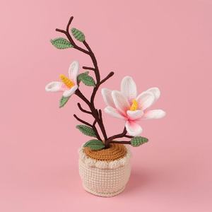 Crochet transfrontalier pour ornements de plantes en pot de magnolia tissés à la main, fleurs naturelles, style créatif, décoration intérieure, cadeaux - Product Image 2