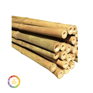 Poteaux et tubes en bambou durables de haute qualité du Vietnam Matières premières en bambou polyvalentes pour diverses utilisations - Product Image 3