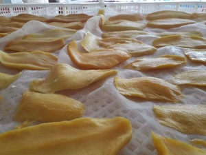 Golden Soft <b>Dried</b> <b>Mango</b> Slices Produced From Ripe <b>Mango</b> Fruit For Retail Distribution Vietnam Origin - Product Image 2
