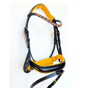 Licol de cheval d'extérieur réglable, conception robuste pour une manipulation sécurisée, entraînement, contrôle en écurie et soins quotidiens équestres - Product Image 1