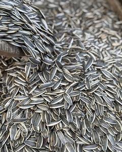 Noix de tournesol, croustillantes, nutritives et délicieuses, choix idéal pour l'énergie quotidienne avec une qualité supérieure - Product Image 1