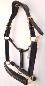 อุปกรณ์แข่งม้าคริสตัลร็อคอังกฤษชิ้นจมูกและแก้มเชือกแขวนคอแบบตรงจากอินเดีย - Product Image 5