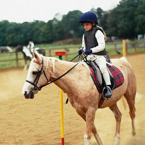 Gilet d'équitation respirant et confortable avec ajustement sécurisé, design flexible et mouvements fluides - Product Image 3