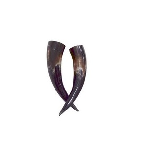 Paire de corne de buffle non polie couleur marron naturelle article de décoration de pièce de meilleure qualité pour corne de paire de buffle à bas prix - Product Image 5