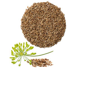 Global Supply of Sun-Dried Dill Culinary Agriculture <b>Product</b> - Product Image 2