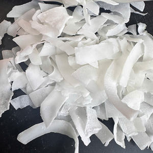 [Keith Vilaconic] มะพร้าวอบแห้งเกรดพรีเมียม ไขมันสูง – มะพร้าวอบแห้งคุณภาพสูงสำหรับอุตสาหกรรมเบเกอรี่และอาหาร - Product Image 2