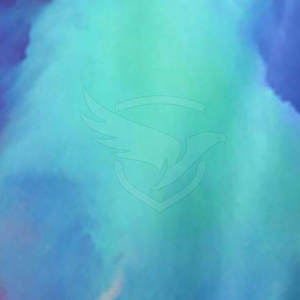 Servicio OEM, Precio al por Mayor, Diseño Personalizado, Pantalones Cortos de Sublimación, Nuevo Ingreso, Pantalones Cortos de Sublimación de Marca Privada en Venta - Product Image 6